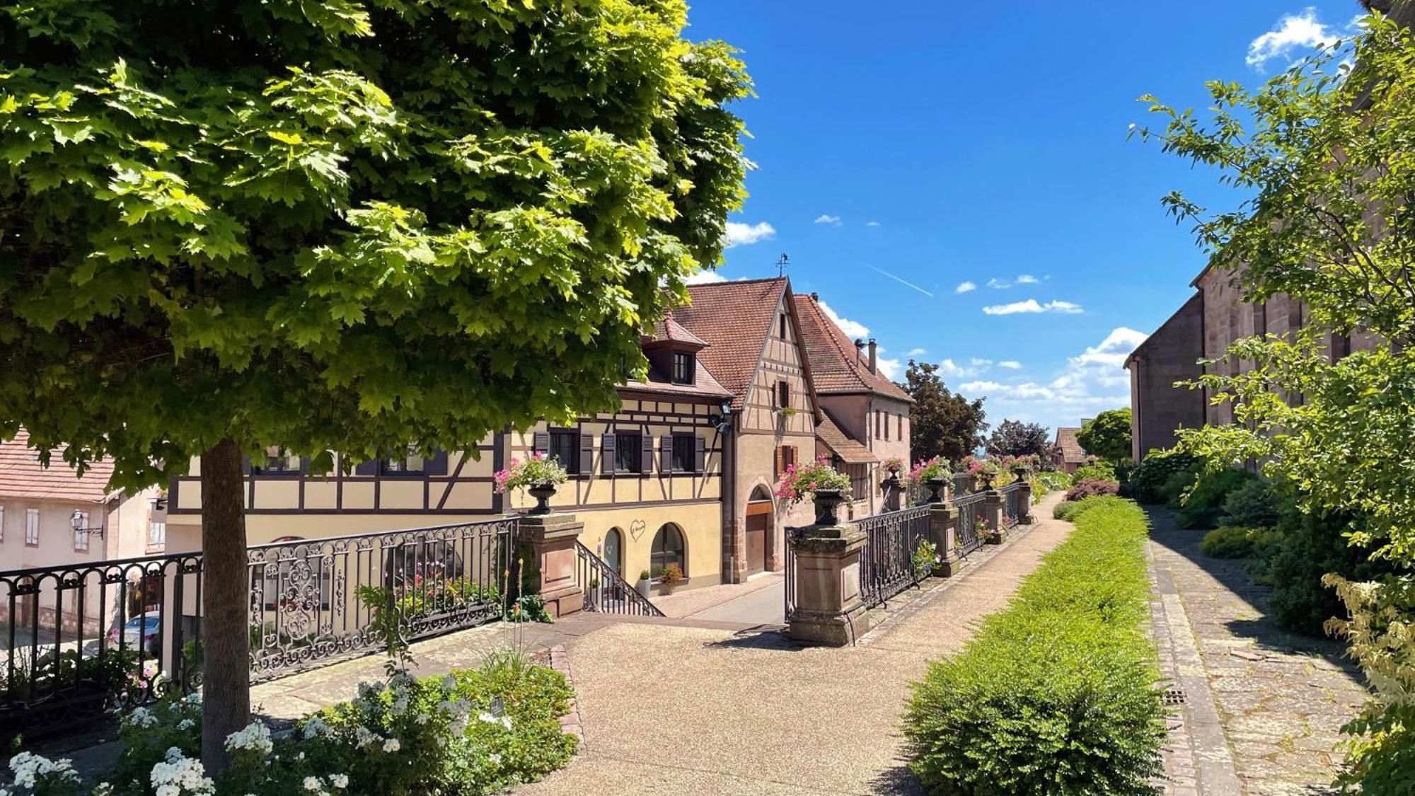 Appartements Duplex 3 Et 4 Personnes - Climatisation - Village Elu Parmi Les "Plus Beaux Villages De France" - Route Des Vins - Centre Alsace Bergheim Exterior foto